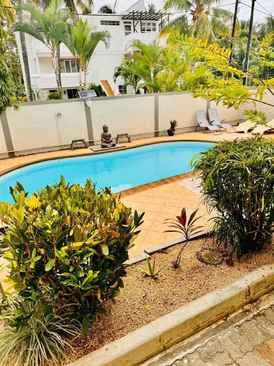 Residence Les Dodos Тру о Биш Екстериор снимка